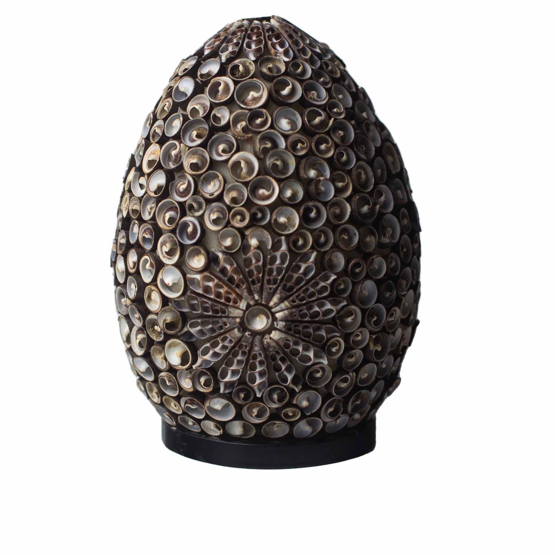 Handcrafted LED Boho Seashell Lamp - Large / Chocolate Twist / Oval product packaging on clean background from Quintessential Holistic Health Ltd