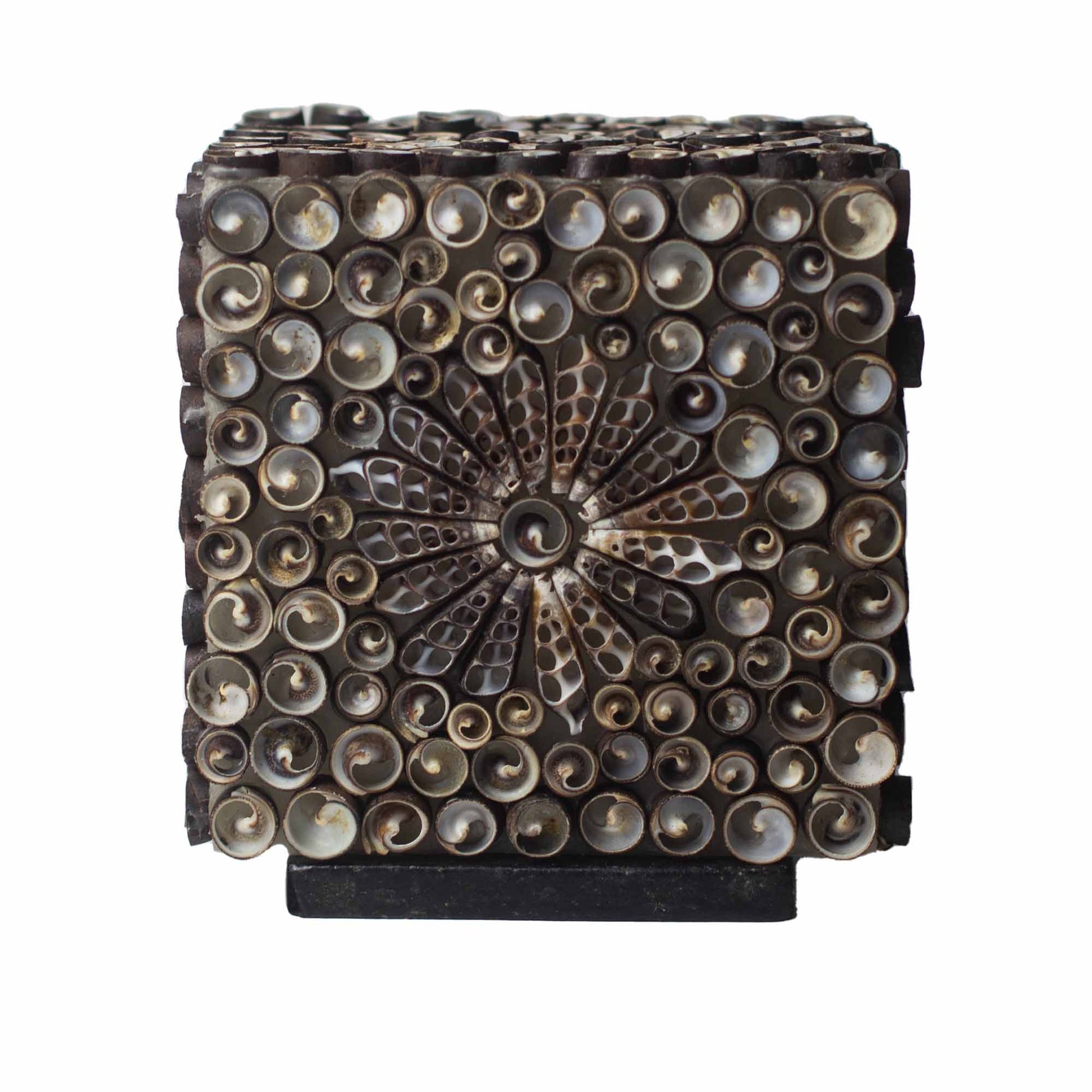 Handcrafted LED Boho Seashell Lamp - Small / Chocolate Twist / Square product packaging on clean background from Quintessential Holistic Health Ltd
