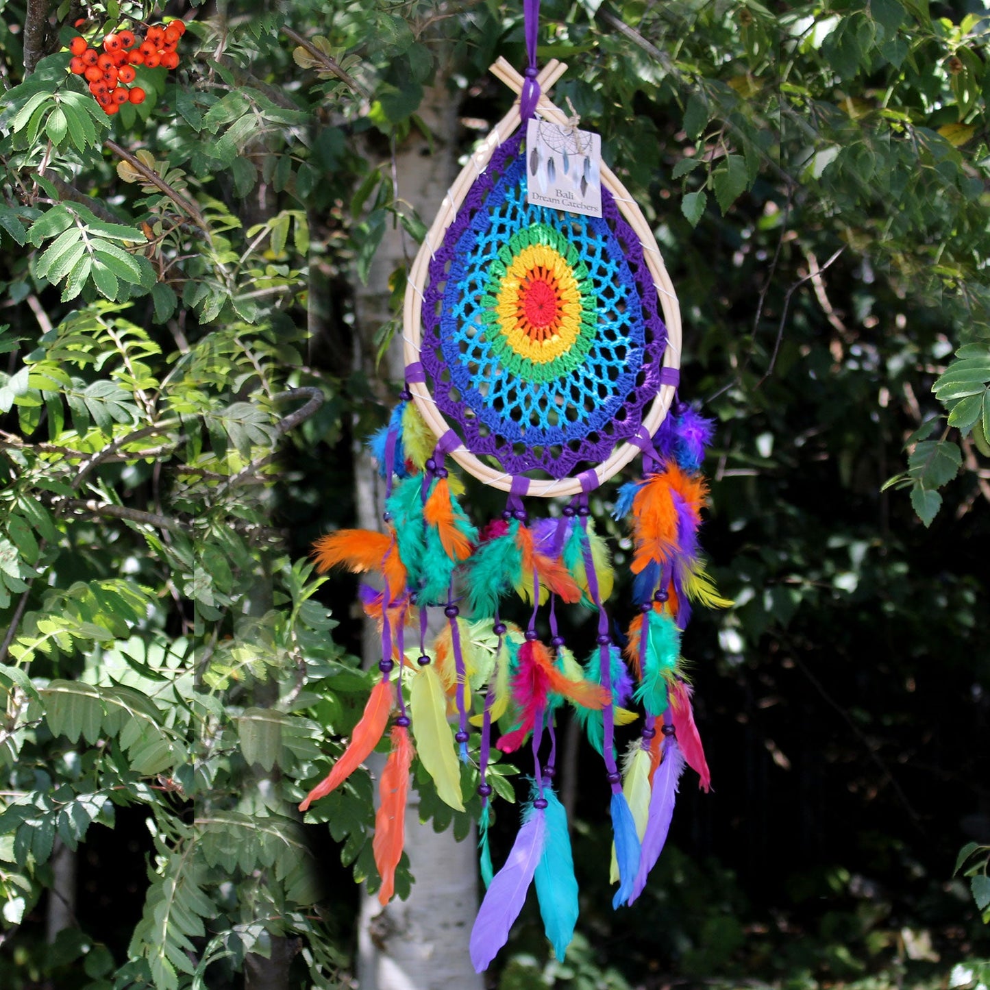 Hand Crafted Dreamcatcher - Medium / Teardrop / Multicoloured product packaging on clean background from Quintessential Holistic Health Ltd