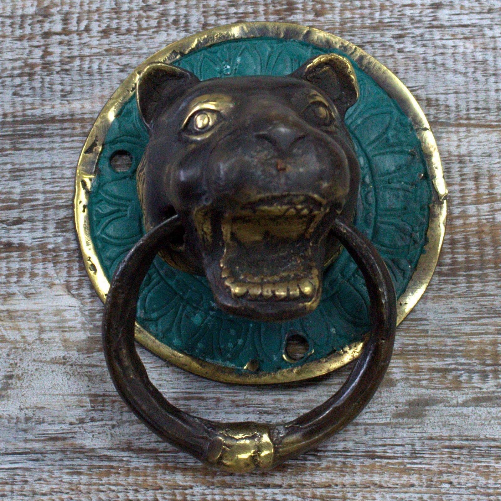 Animal Brass Door Knockers - Tigers Head product packaging on clean background from Quintessential Holistic Health Ltd