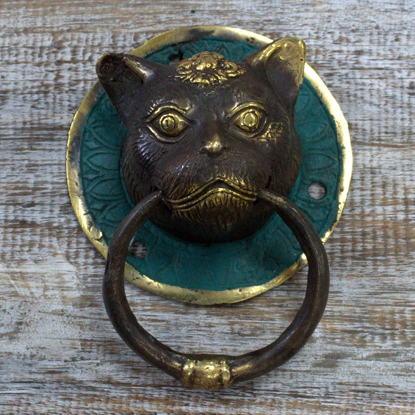 Animal Brass Door Knocker - Cats Head product packaging on clean background from Quintessential Holistic Health Ltd