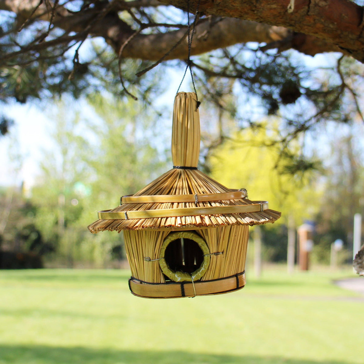 Handcrafted Seagrass Bird Box - Small - Round hanging from a tree, with wide tiered roof and dark circular entrance by Quintessential Holistic Health Ltd