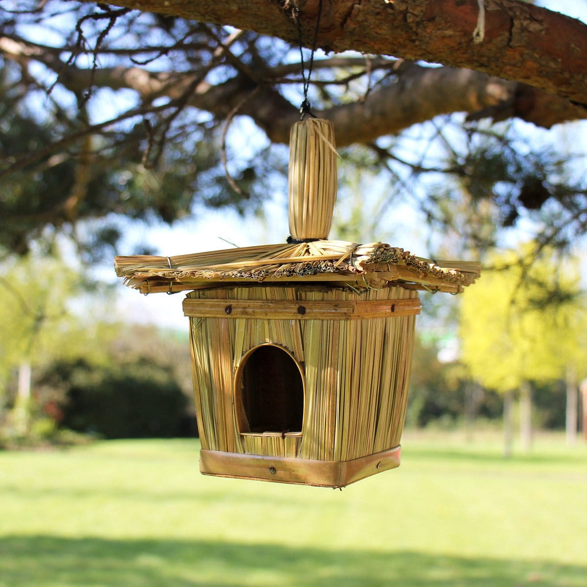 Handcrafted Seagrass Bird Box - Small - Square, hanging from a tree branch with an arched entrance by Quintessential Holistic Health Ltd