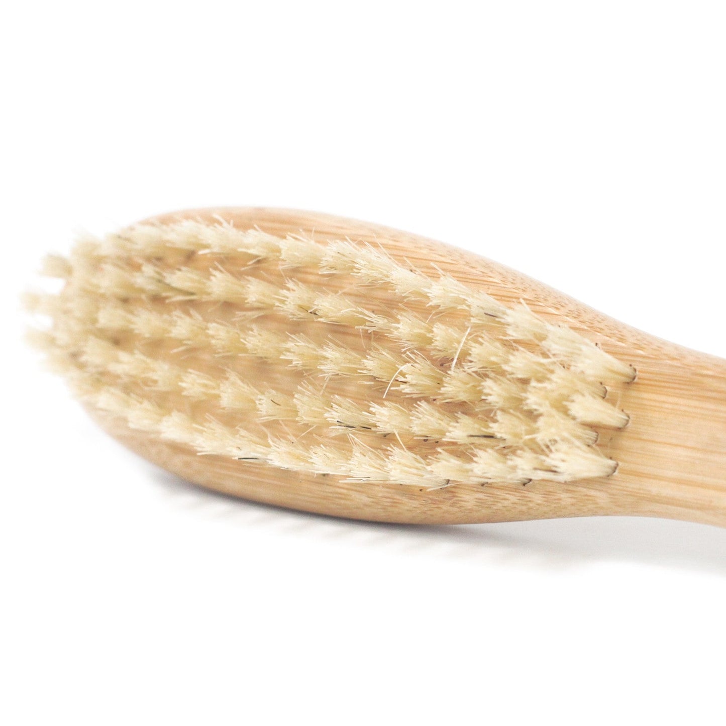 Eco-Friendly Bamboo Beard Brush product packaging on clean background from Quintessential Holistic Health Ltd