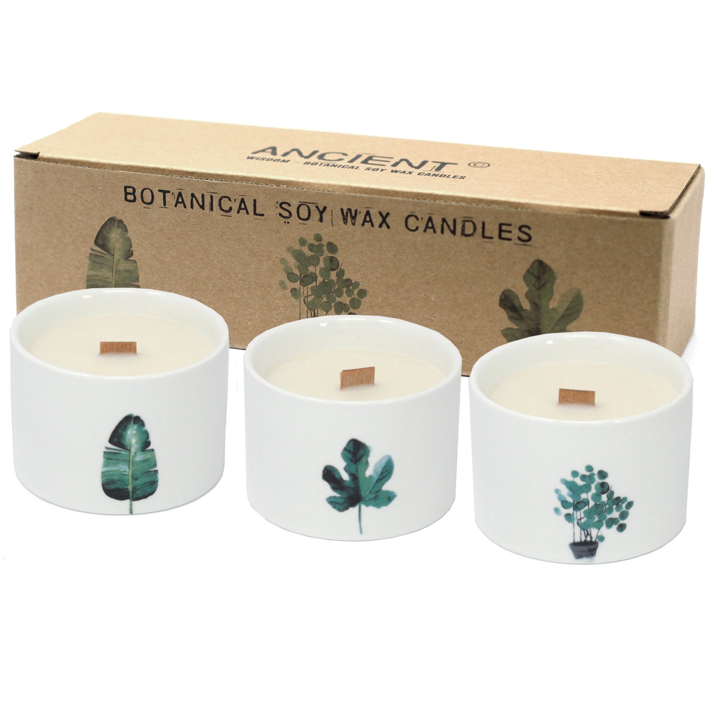 Set of 3 x Scented Botanical Wooden Wick Soy Candles in a Ceramic Pot with 1 x FREE Stand