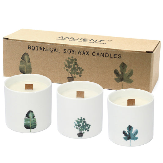 Set of 3 x Scented Botanical Wooden Wick Soy Candles in a Ceramic Pot with 1 x FREE Stand