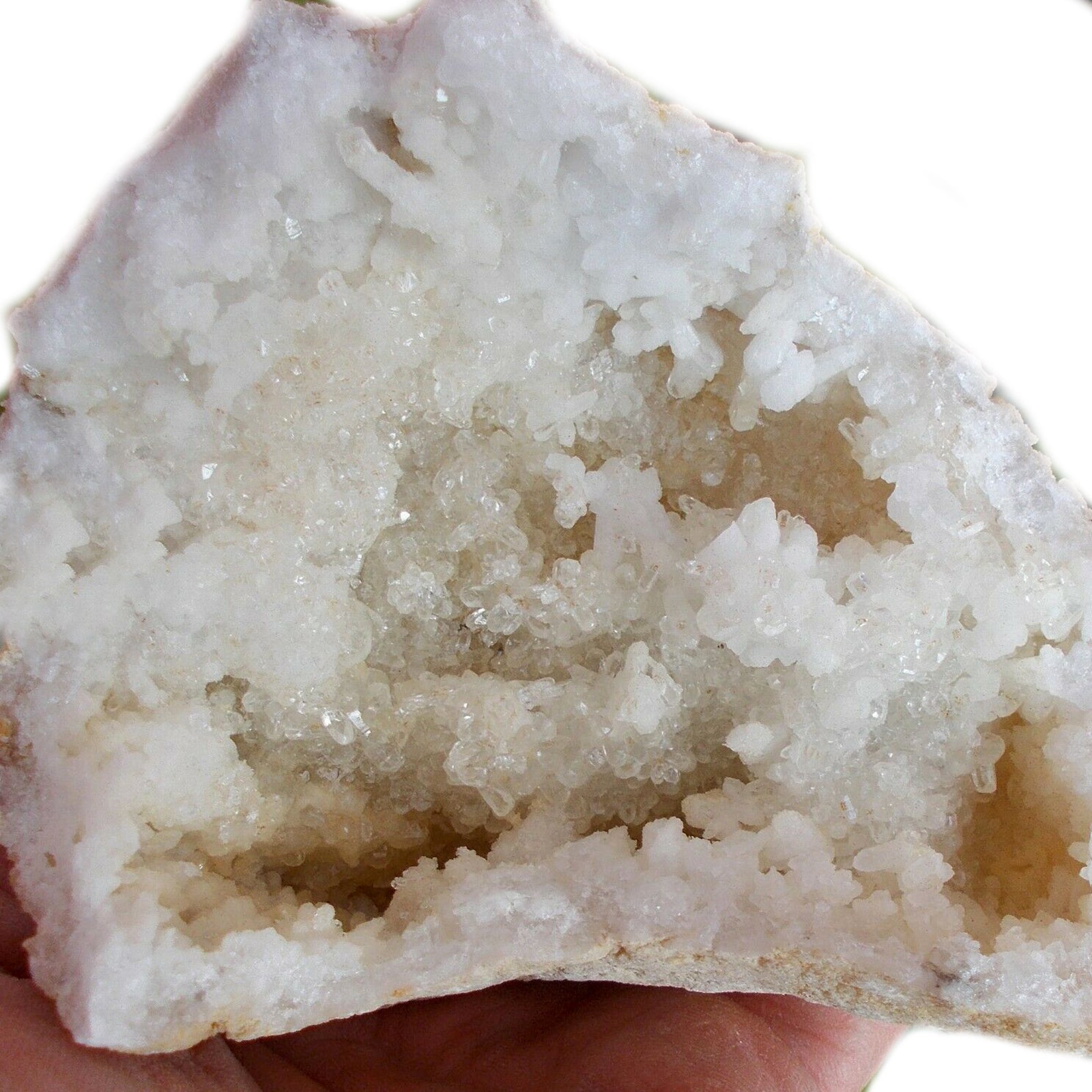 Natural Calcite Geode - Small product packaging on clean background from Quintessential Holistic Health Ltd