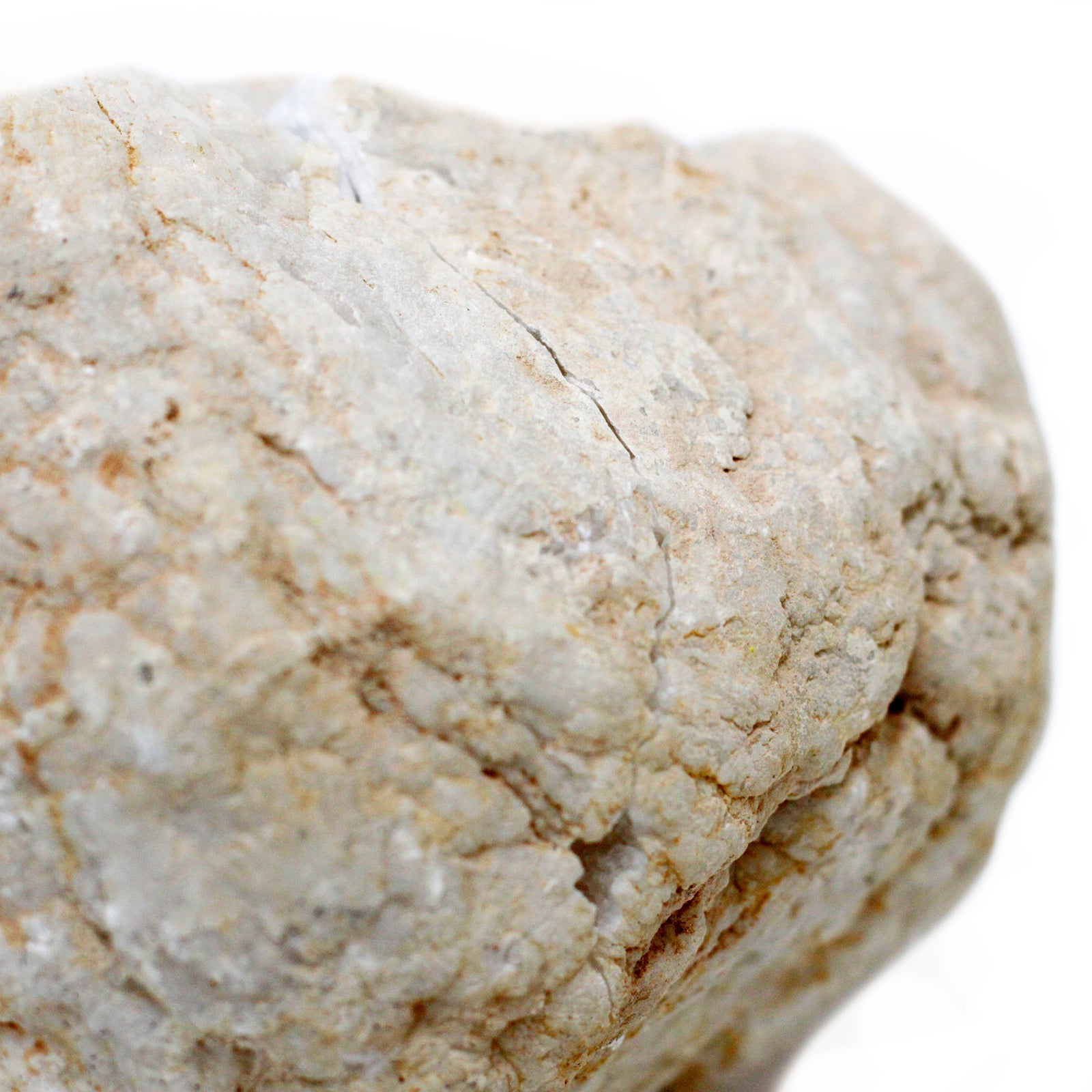 Natural Calcite Geode - Extra Large product packaging on clean background from Quintessential Holistic Health Ltd