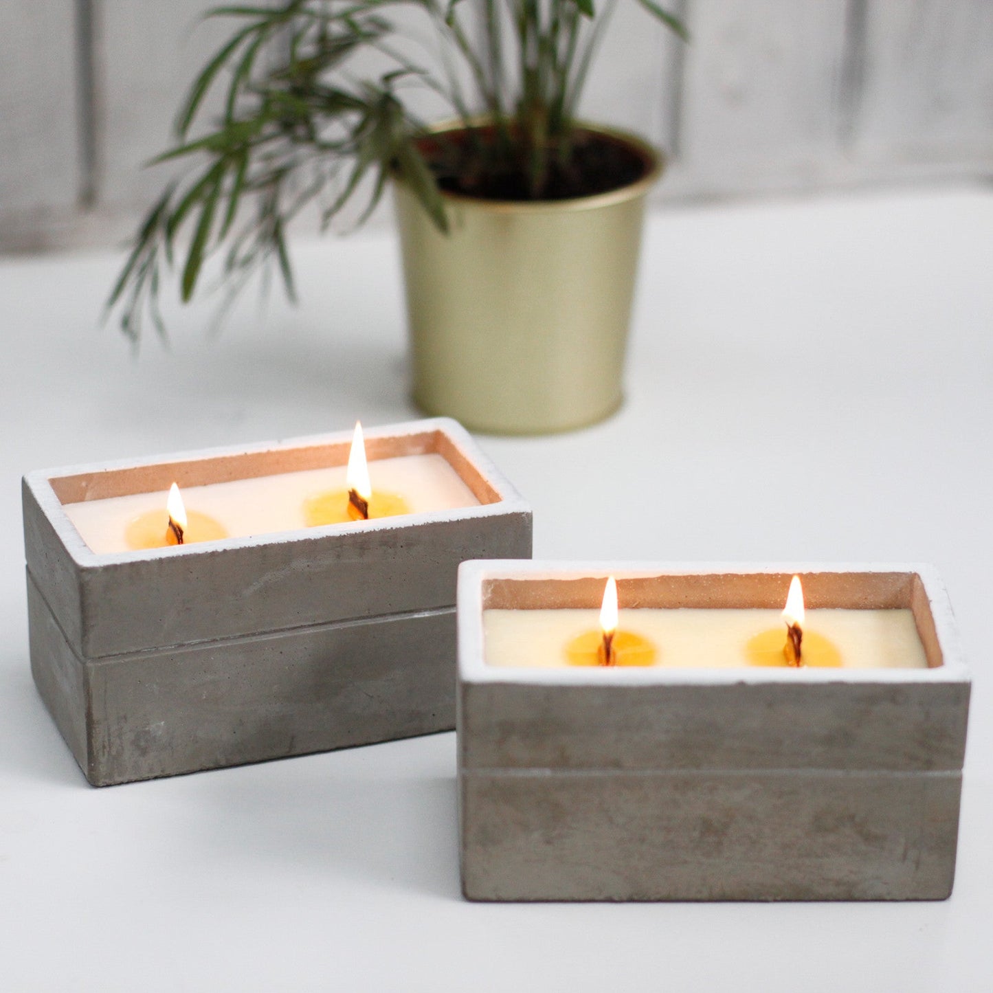 Concrete Wooden Wick Soy Candle Holder - Large / Rectangular / Clove and Dark Sandalwood product packaging on clean background from Quintessential Holistic Health Ltd