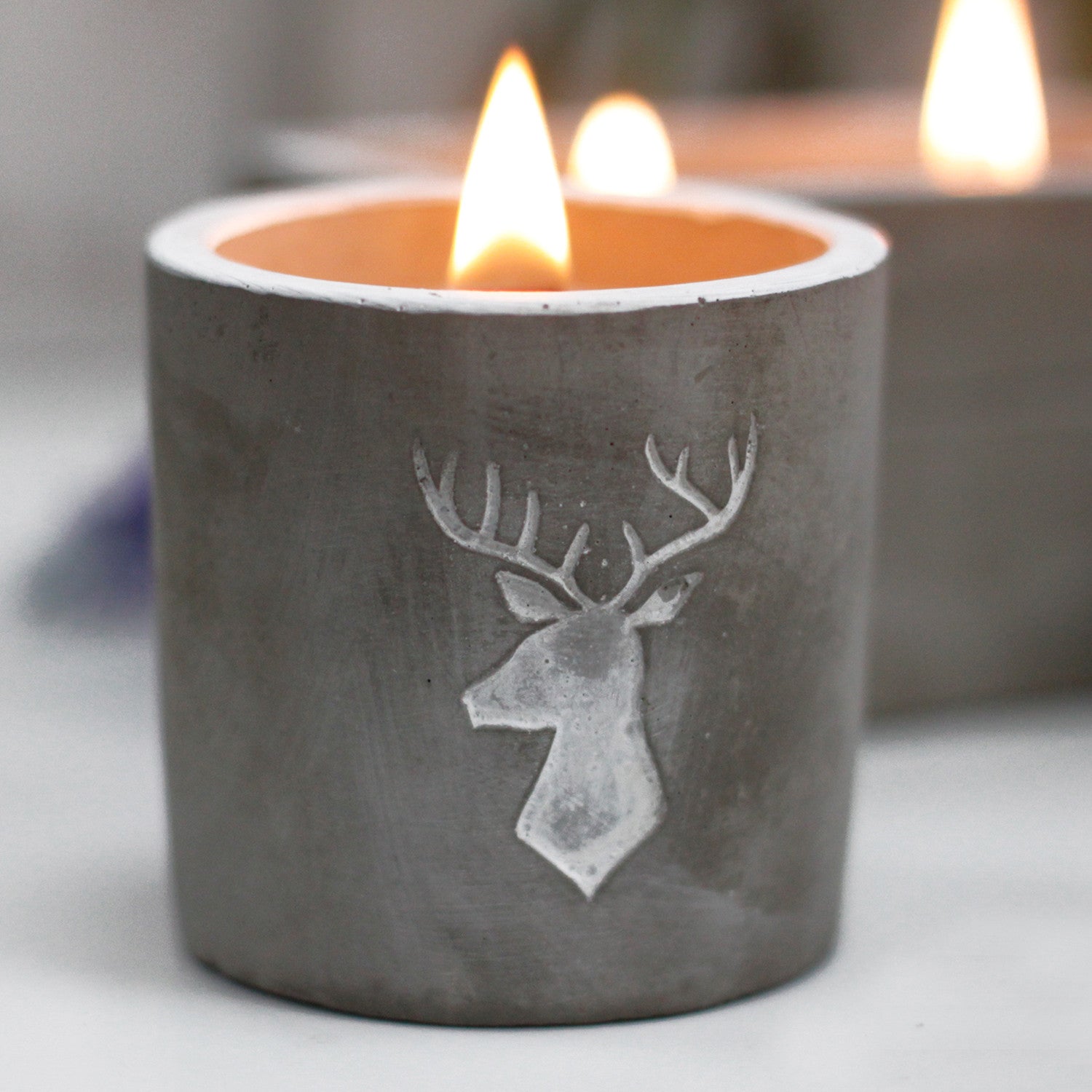 Concrete Wooden Wick Soy Candle Holder - Medium / Round / Stags Head / Whisky and Woodsmoke product packaging on clean background from Quintessential Holistic Health Ltd