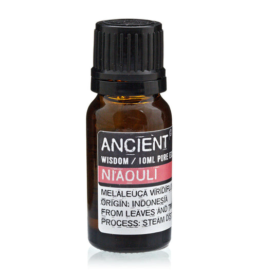 10ml Essential Oil - Niaouli product packaging on clean background from Quintessential Holistic Health Ltd