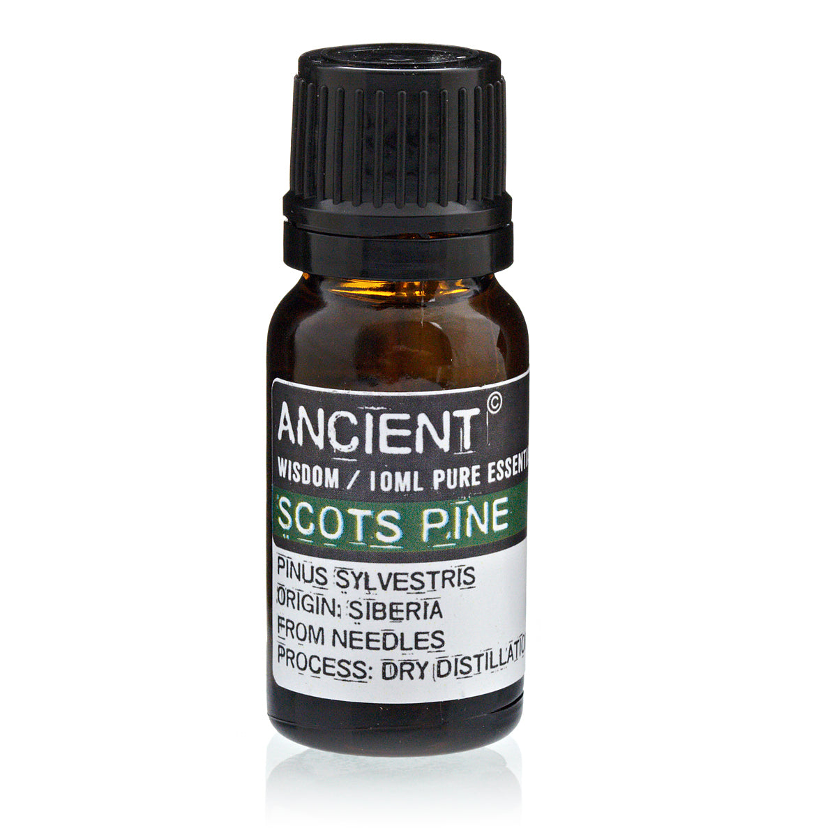 10ml Essential Oil - Pine Sylvestris (Scots Pine) product packaging on clean background from Quintessential Holistic Health Ltd