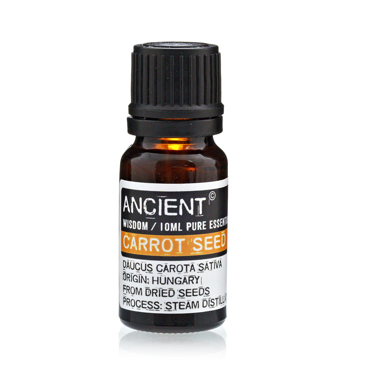 10ml Essential Oil - Carrot Seed product packaging on clean background from Quintessential Holistic Health Ltd