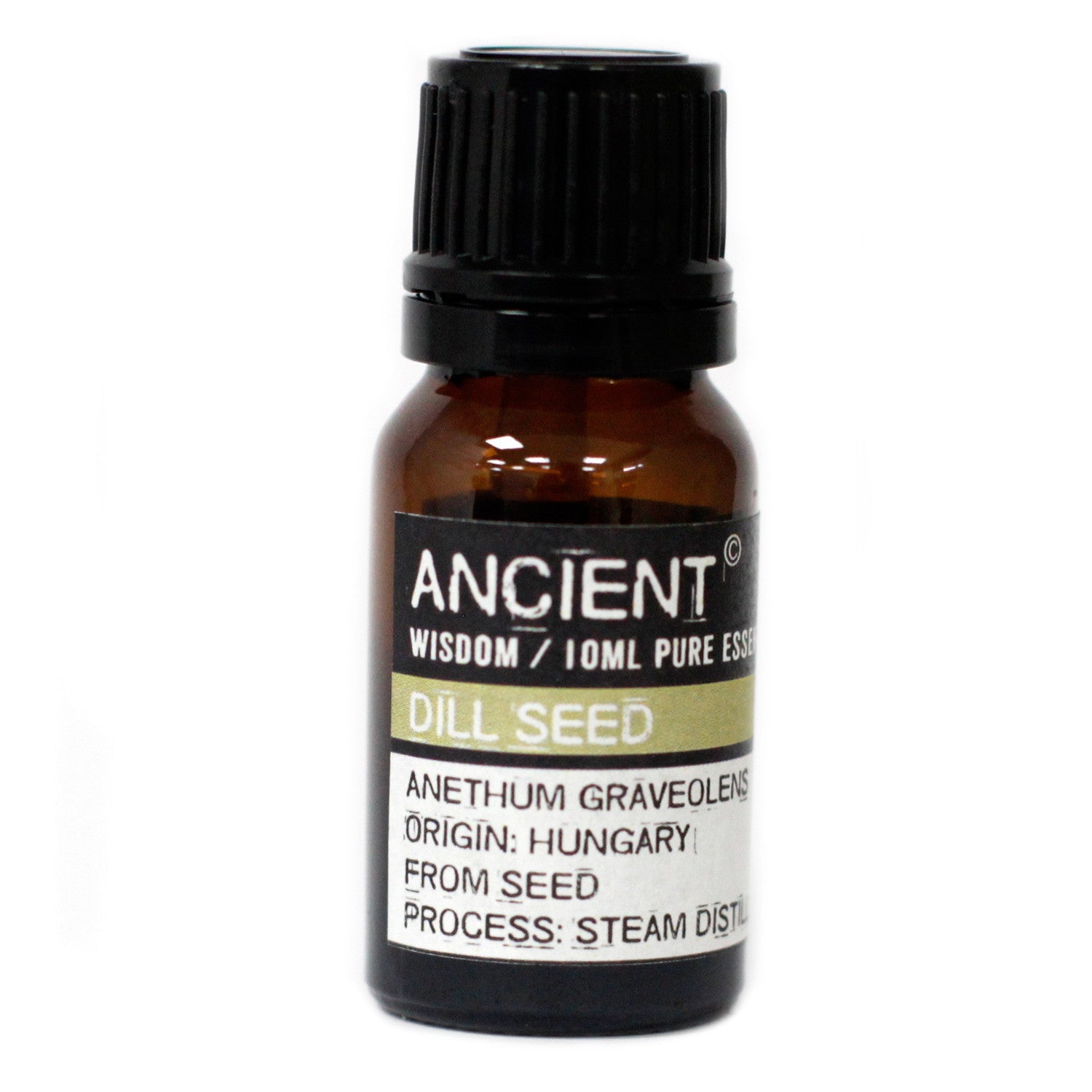 10ml Essential Oil - Dill Seed product packaging on clean background from Quintessential Holistic Health Ltd