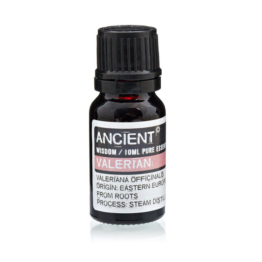 10ml Essential Oil - Valerian product packaging on clean background from Quintessential Holistic Health Ltd