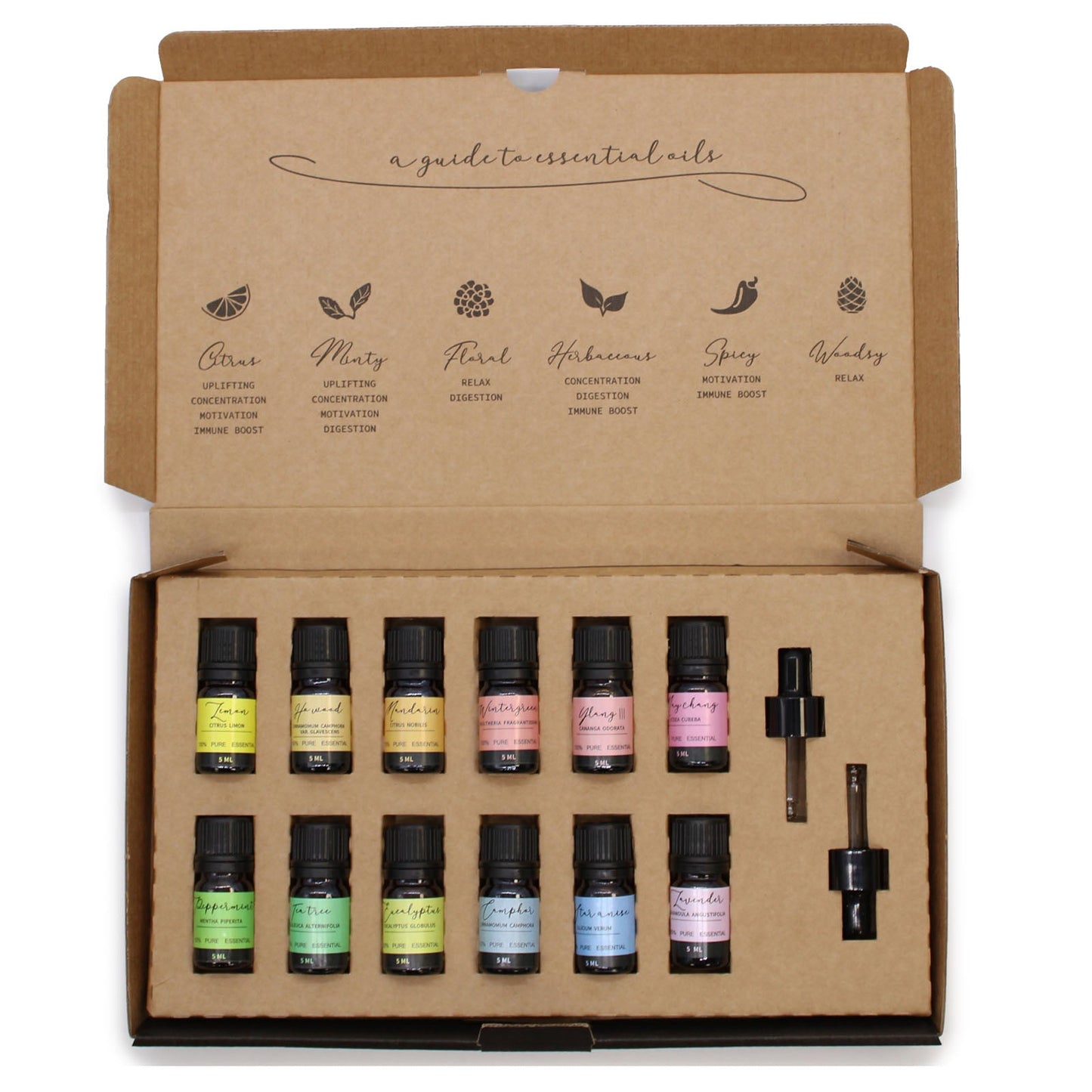 Handmade Vegan-Friendly Aromatherapy 100% Pure Essential Oil Set - Starter Pack product packaging on clean background from Quintessential Holistic Health Ltd