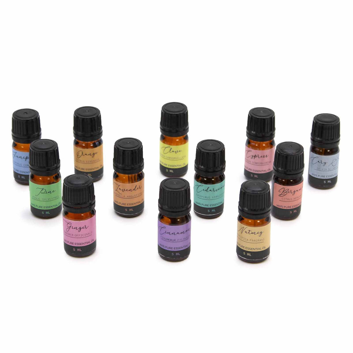 Vegan 100% Pure Aromatherapy Essential Oil Set - Autumn with small colourful labelled bottles arranged upright by Quintessential Holistic Health Ltd