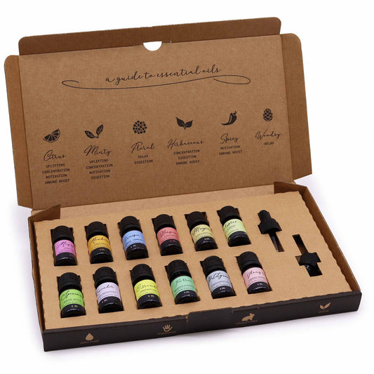 Vegan 100% Pure Aromatherapy Essential Oil Set - Spring in an open brown box with two rows of labelled bottles and two droppers by Quintessential Holistic Health Ltd