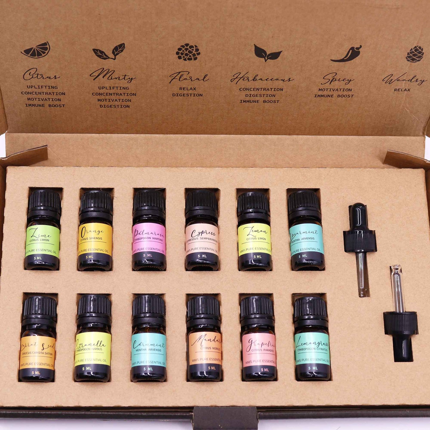 Vegan 100% Pure Aromatherapy Essential Oil Set - Summer, overhead view of twelve colourful bottles and two droppers in an open box by Quintessential Holistic Health Ltd