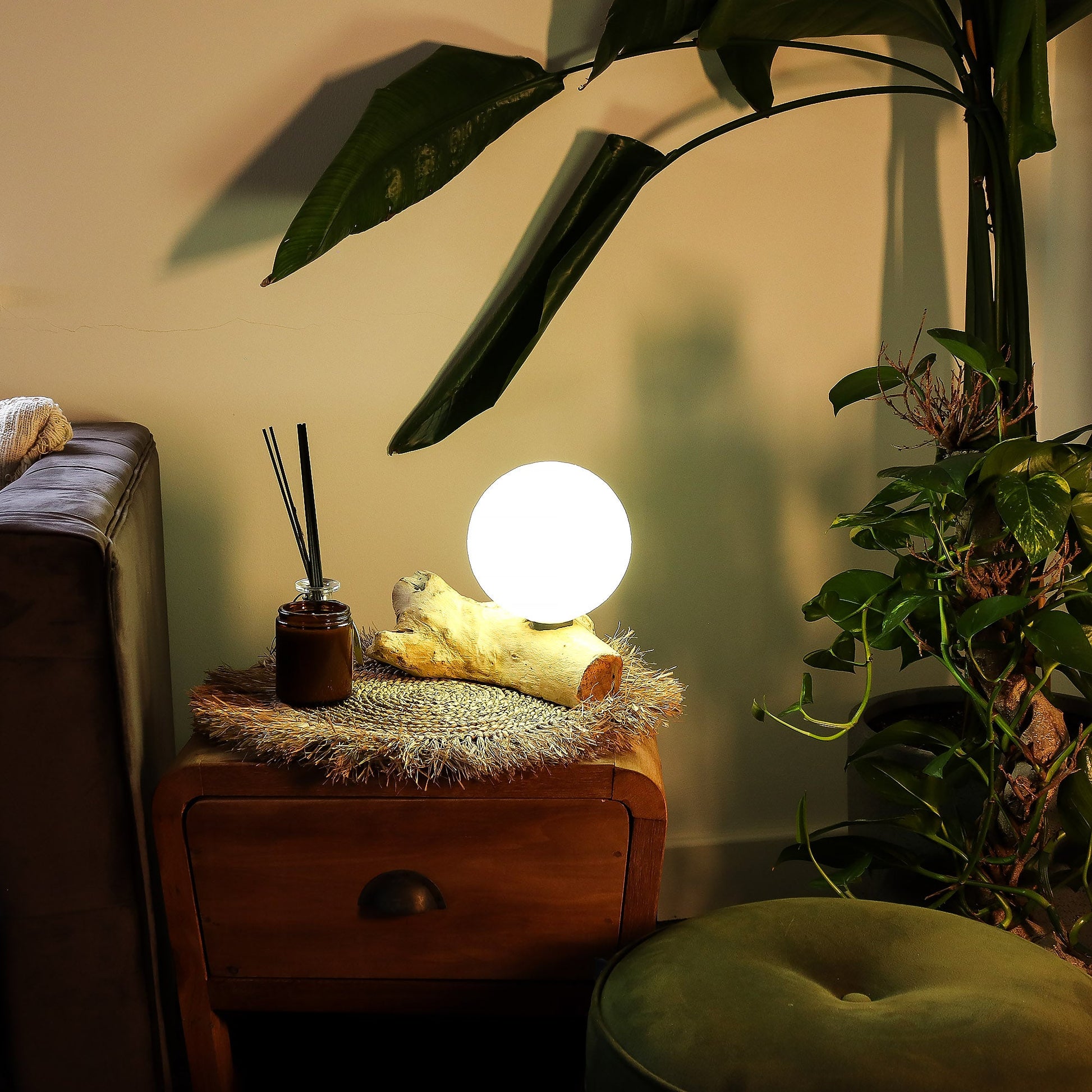 Natural Driftwood LED Glow Lamp - Cotton Ivory Luna Shade product packaging on clean background from Quintessential Holistic Health Ltd