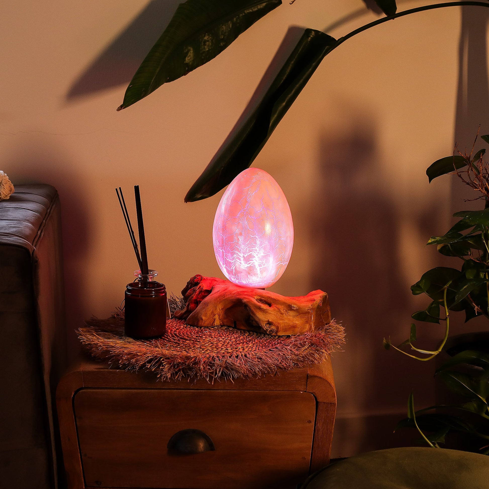 Natural Driftwood LED Glow Lamp - Crackled Fire Egg Shade / Orange product packaging on clean background from Quintessential Holistic Health Ltd