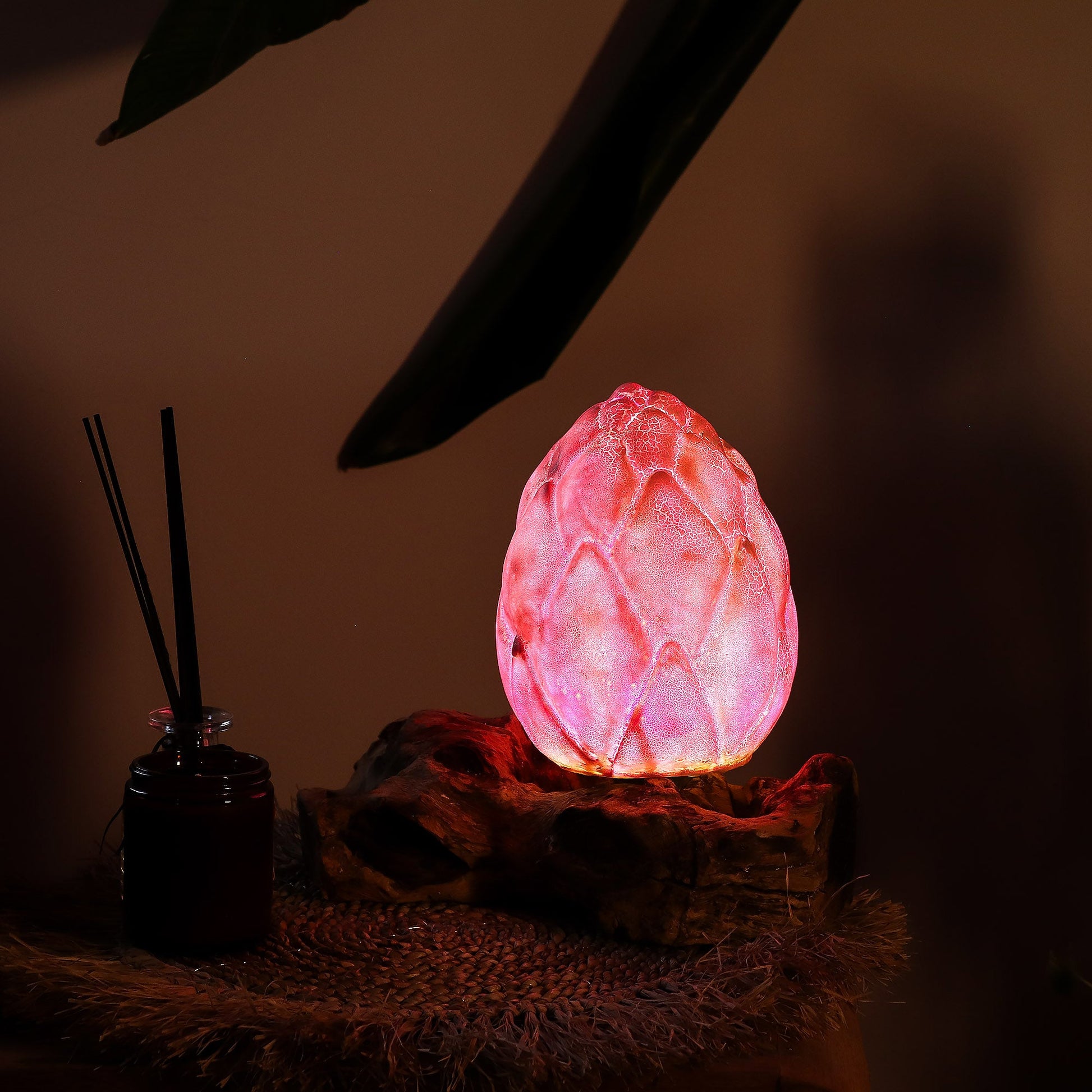 Natural Driftwood LED Glow Lamp - Crackle Lotus Flower Shade / Purple product packaging on clean background from Quintessential Holistic Health Ltd