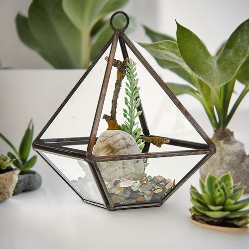 Small Glass and Brass Diamond Terrarium filled with pale stones, a shell and upright greenery beside succulents by Quintessential Holistic Health Ltd