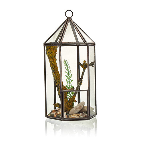 Glass and Brass Terrarium - Lantern, tall six-sided frame containing upright greenery, stones and wood pieces, by Quintessential Holistic Health Ltd