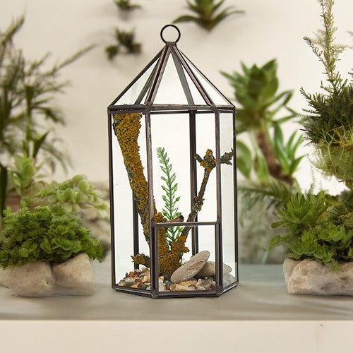 Glass and Brass Terrarium - Lantern, planted six-sided display with greenery, stones and wood pieces on a windowsill, by Quintessential Holistic Health Ltd