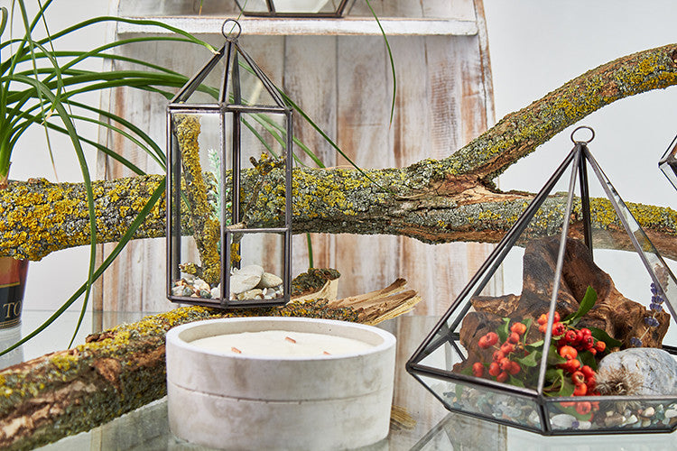 Large Glass and Brass Octagon Terrarium hanging from a branch near planted terrariums and a white candle by Quintessential Holistic Health Ltd