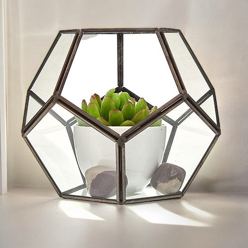 Large Glass and Brass Octagon Terrarium with a potted green succulent inside by Quintessential Holistic Health Ltd