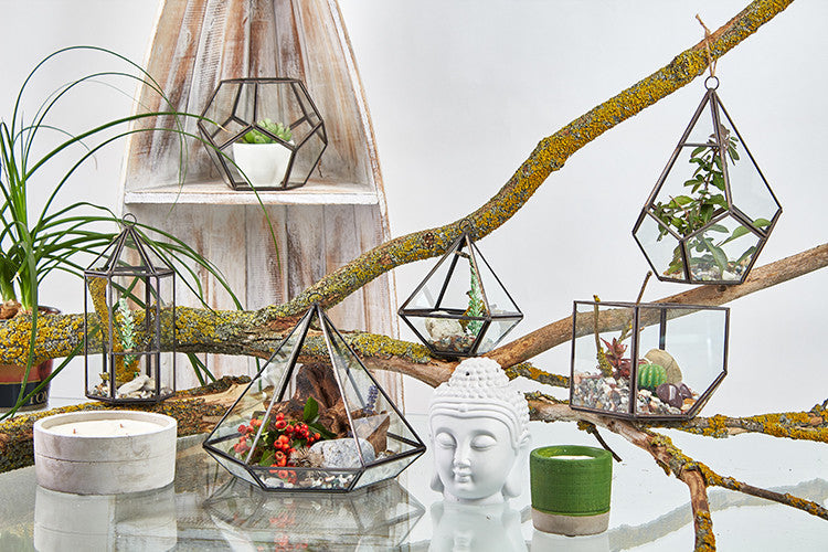 Glass and Brass Terrarium - Corner - Cube hanging among several geometric terrariums on branches by Quintessential Holistic Health Ltd