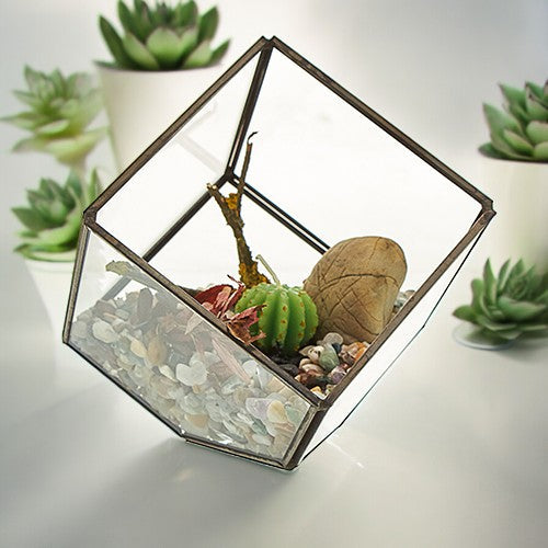 Glass and Brass Corner Cube Terrarium, tilted display filled with pale stones, greenery and decorative pieces among potted plants, by Quintessential Holistic Health Ltd