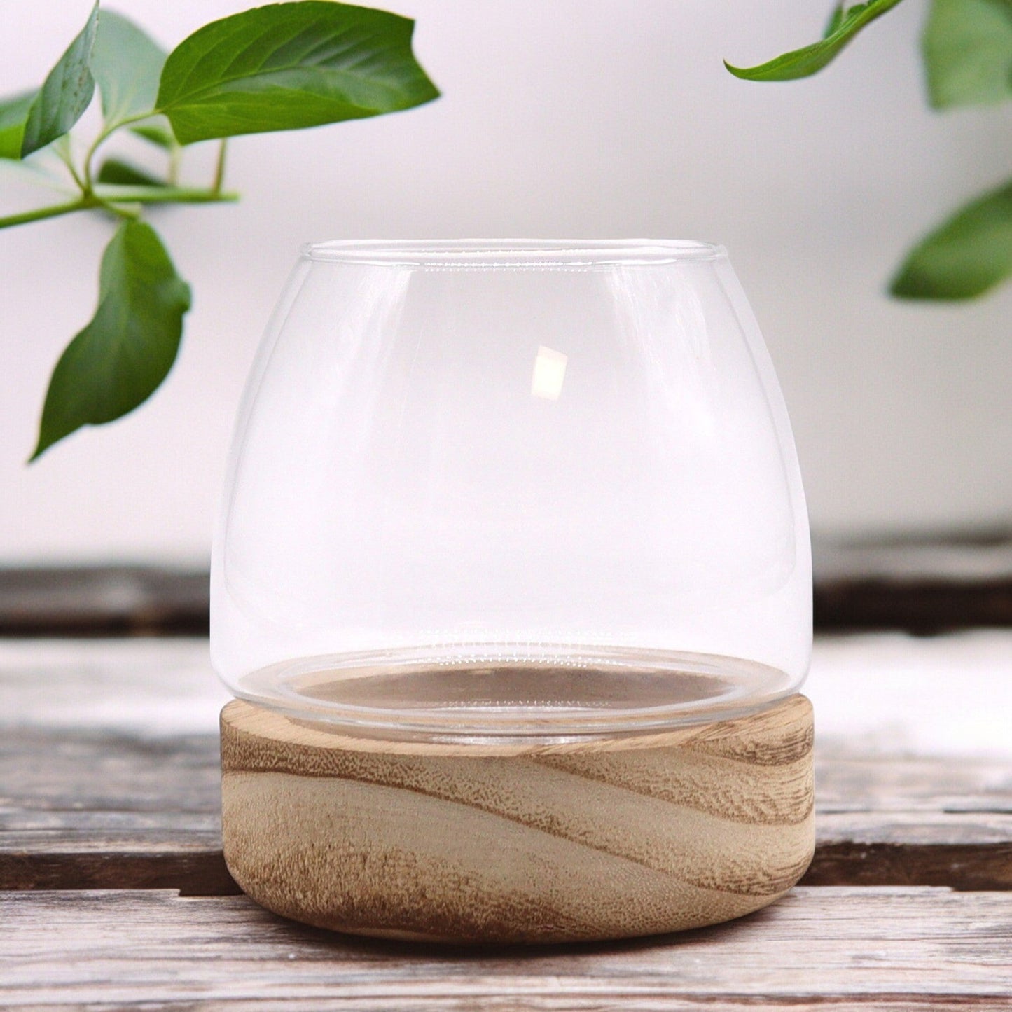 Glass Terrarium on Tung Wood - Mini - Natural, clear rounded glass vessel on a carved wooden base with green leaves above by Quintessential Holistic Health Ltd