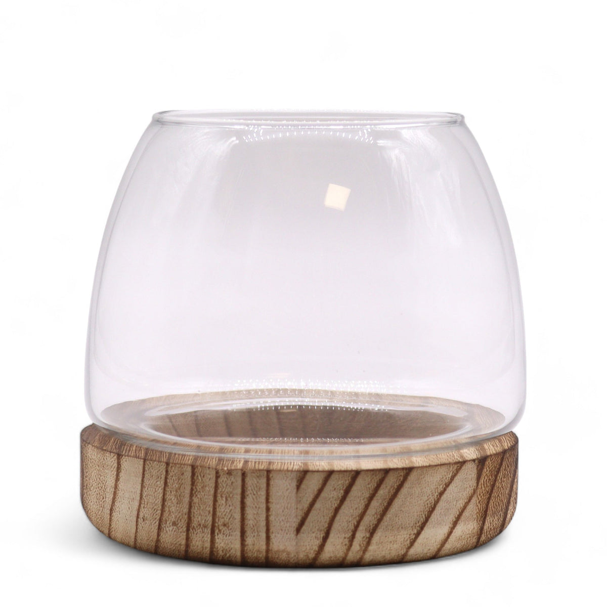 Glass Terrarium on Natural Tung Wood - Small - 13 × 13 cm with a clear domed vessel on a striped circular wooden base by Quintessential Holistic Health Ltd