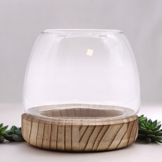 Glass Terrarium on Tung Wood - Small - Natural - main product image from Quintessential Holistic Health Ltd UK