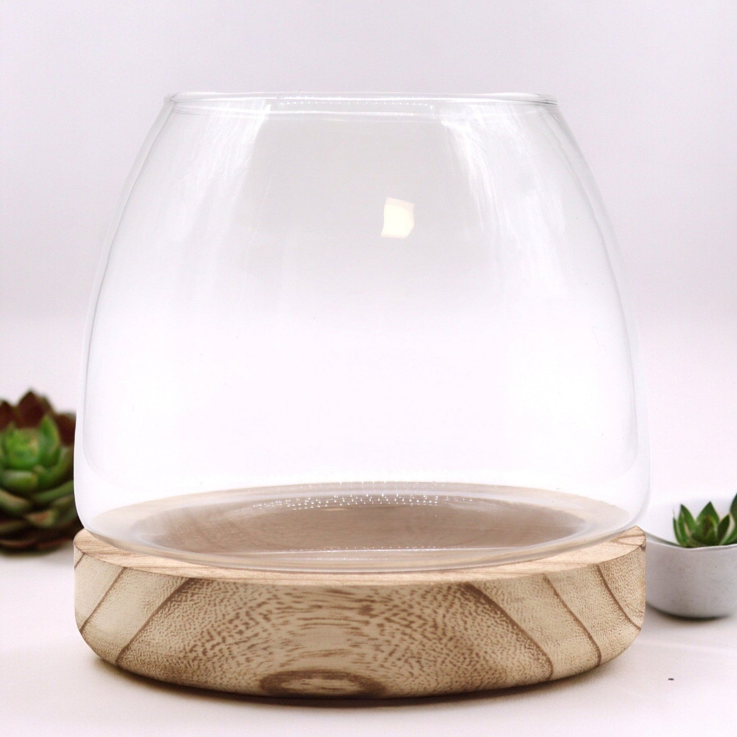 Glass Terrarium on Tung Wood - Medium / Natural product packaging on clean background from Quintessential Holistic Health Ltd