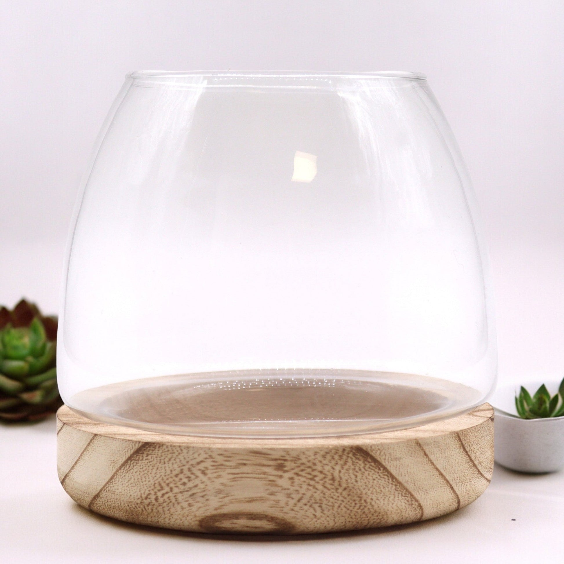 Glass Terrarium on Tung Wood - Medium / Natural product packaging on clean background from Quintessential Holistic Health Ltd
