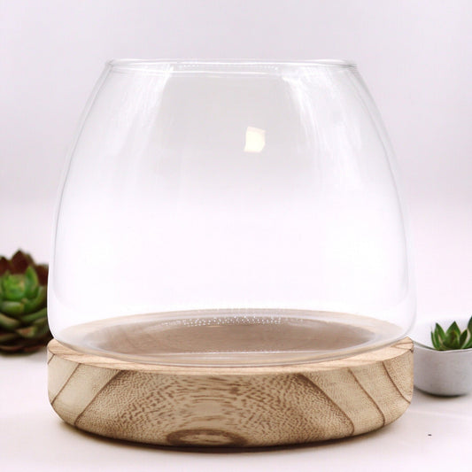 Glass Terrarium on Tung Wood - Medium - Natural - main product image from Quintessential Holistic Health Ltd UK