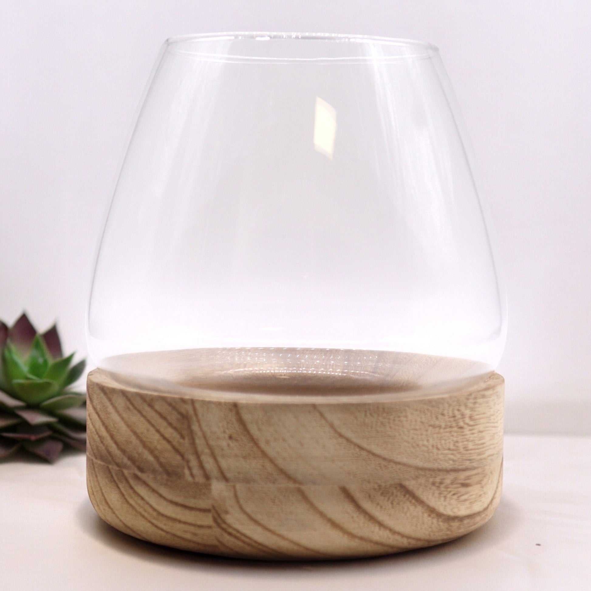 Glass Terrarium on Tung Wood - Large Natural, 17 × 19 cm, clear curved vessel on a circular wood base beside a small plant, by Quintessential Holistic Health Ltd