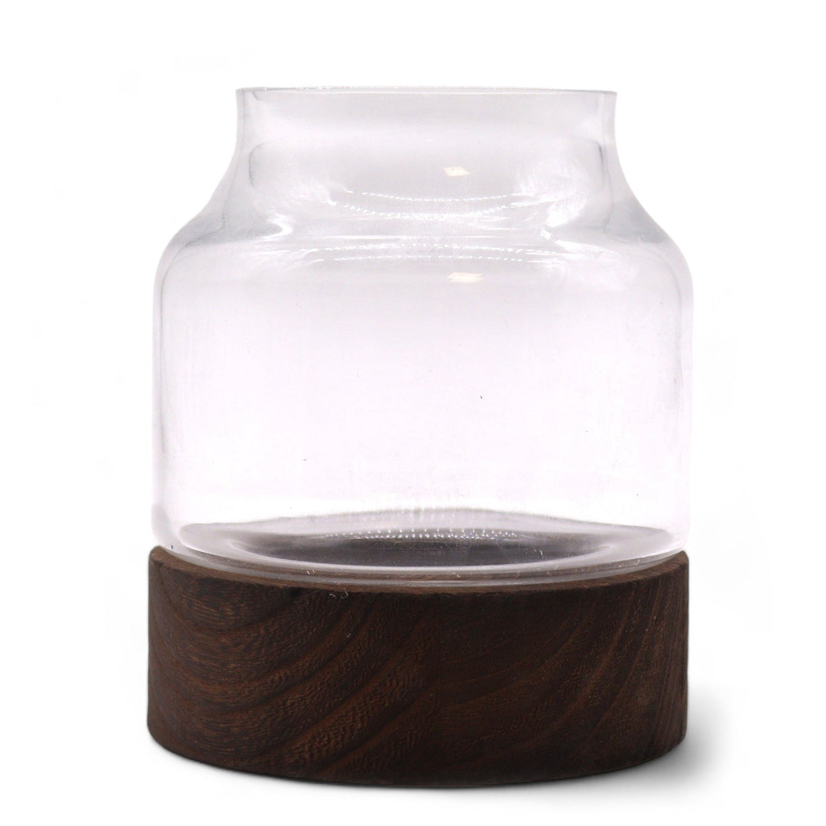 Glass Terrarium on Dark Tung Wood - Small with clear cylindrical vessel, flared rim and dark round base by Quintessential Holistic Health Ltd