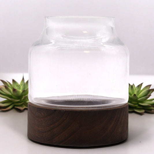 Glass Terrarium on Tung Wood - Small - Dark - main product image from Quintessential Holistic Health Ltd UK