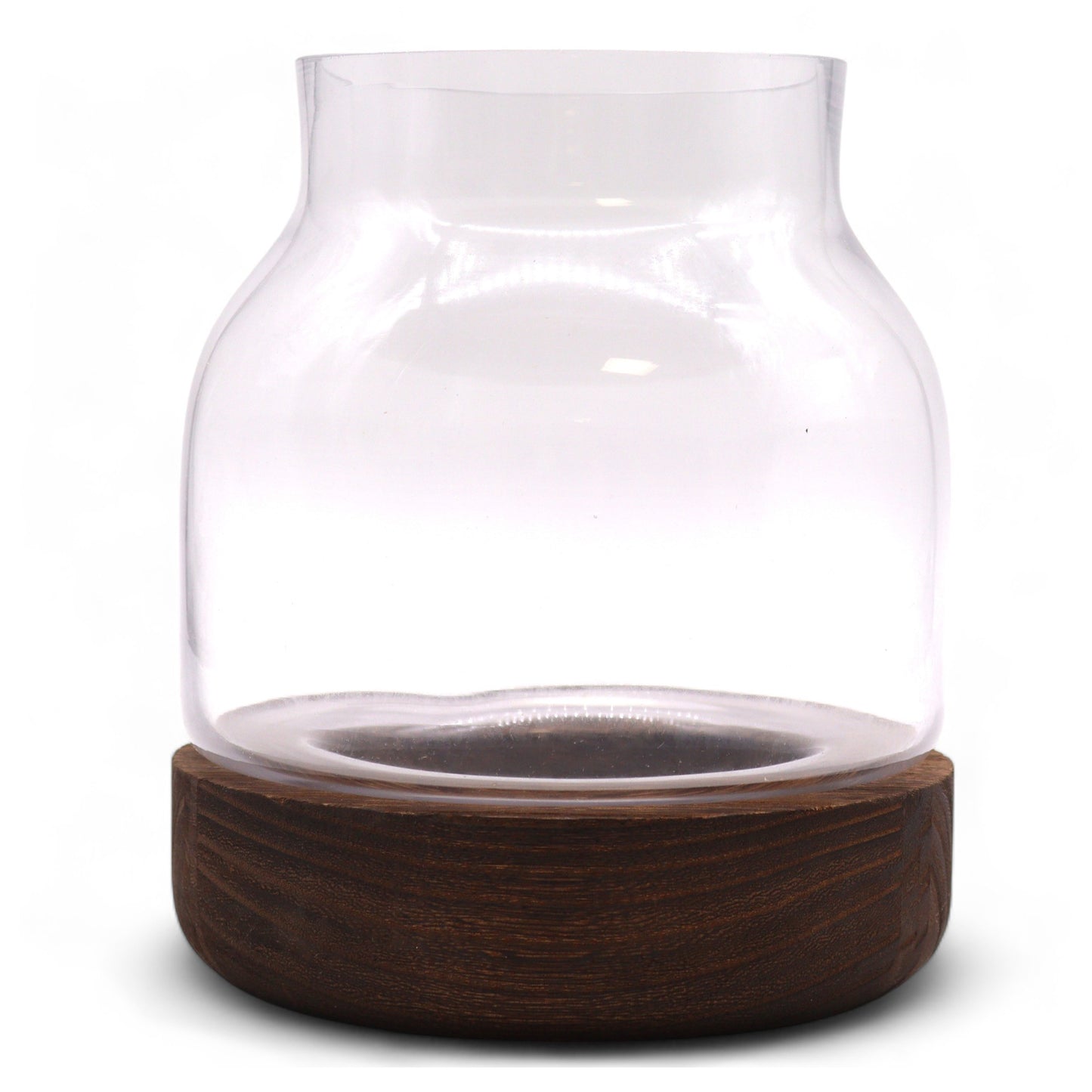 Glass Terrarium on Tung Wood - Medium / Dark