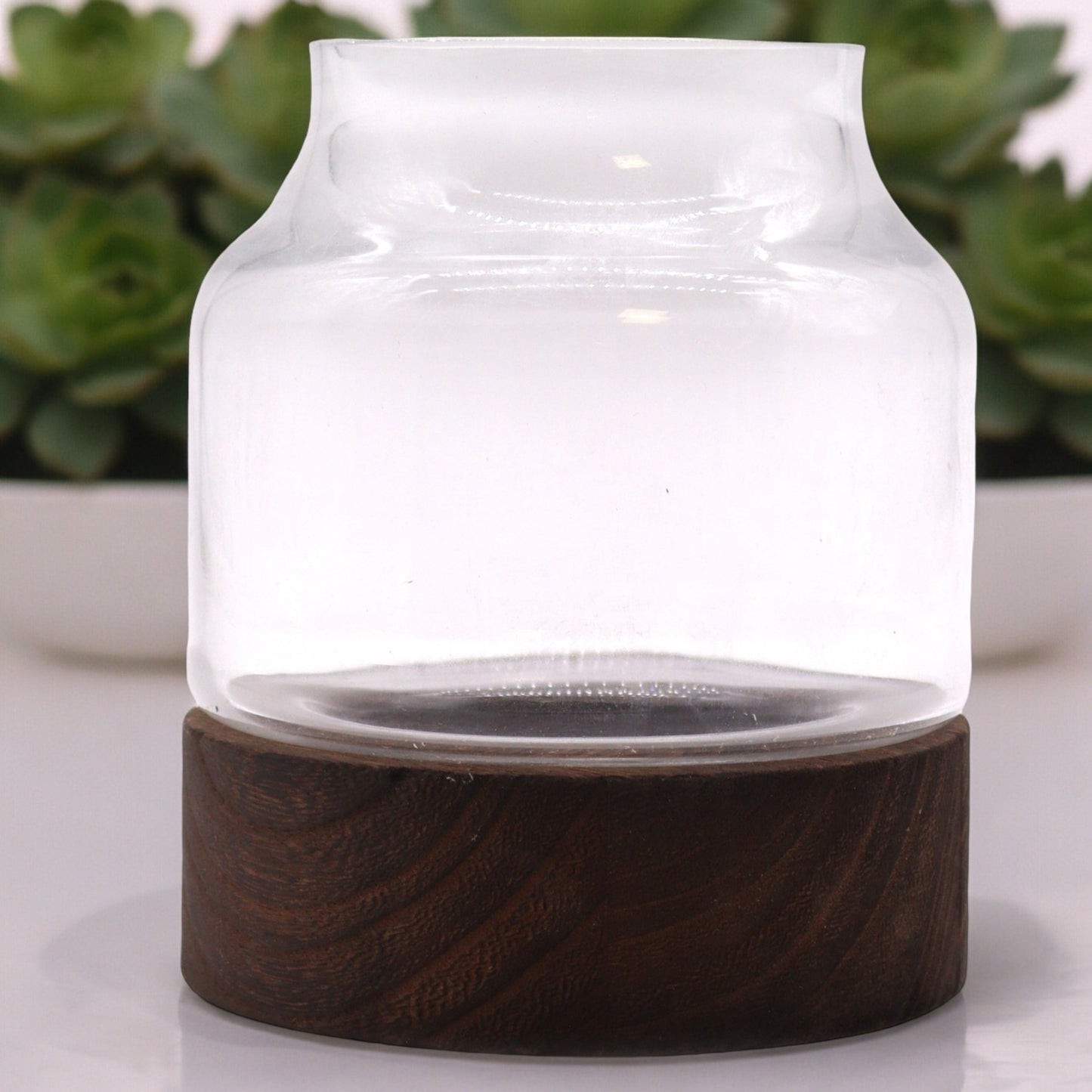 Glass Terrarium on Tung Wood - Medium / Dark