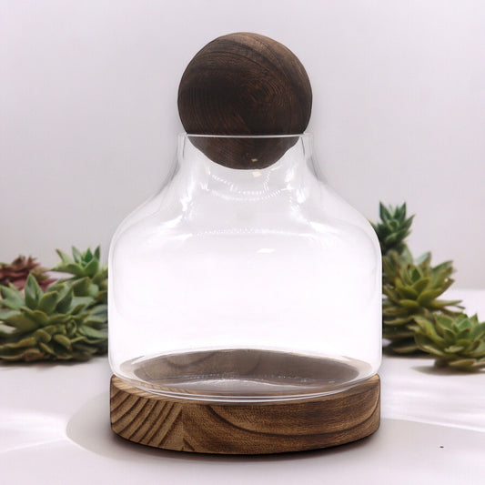 Glass Terrarium on Tung Wood with Ball - Medium - Dark - main product image from Quintessential Holistic Health Ltd UK