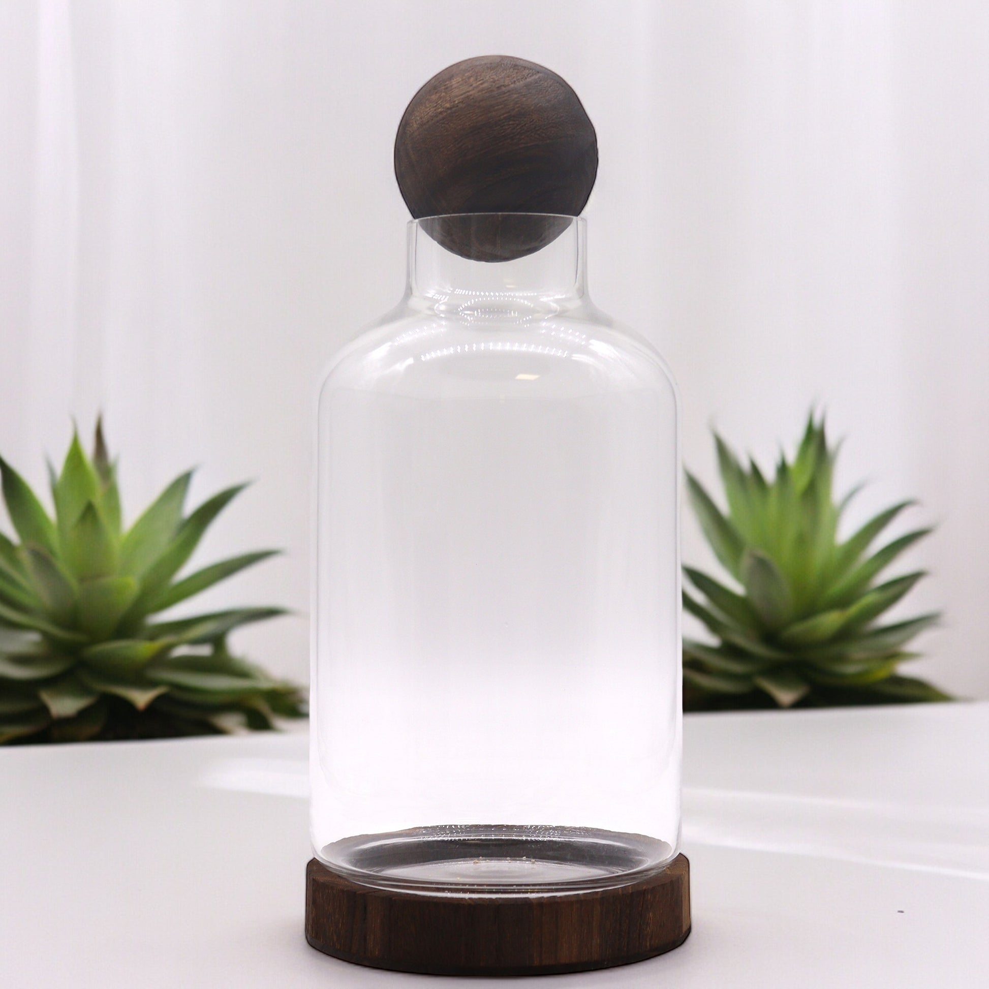 Glass Terrarium on Tung Wood - Large / Dark product packaging on clean background from Quintessential Holistic Health Ltd