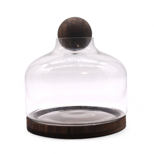 Glass Terrarium on Tung Wood with Ball - Extra Large - Dark - main product image from Quintessential Holistic Health Ltd UK
