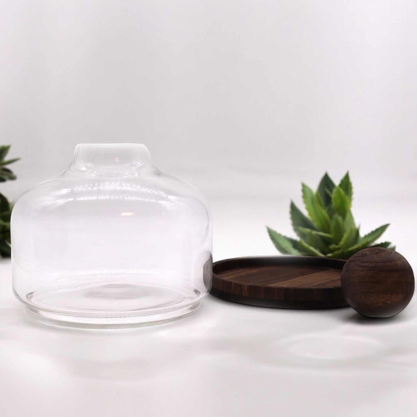 Glass Terrarium on Tung Wood with Ball - Extra Large / Dark