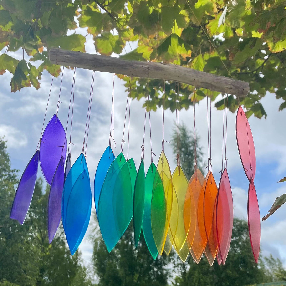 Driftwood and Recycled Glass Wind Chime - Rainbow - Multicoloured with curved rainbow pieces hanging from driftwood among leafy branches by Quintessential Holistic Health Ltd