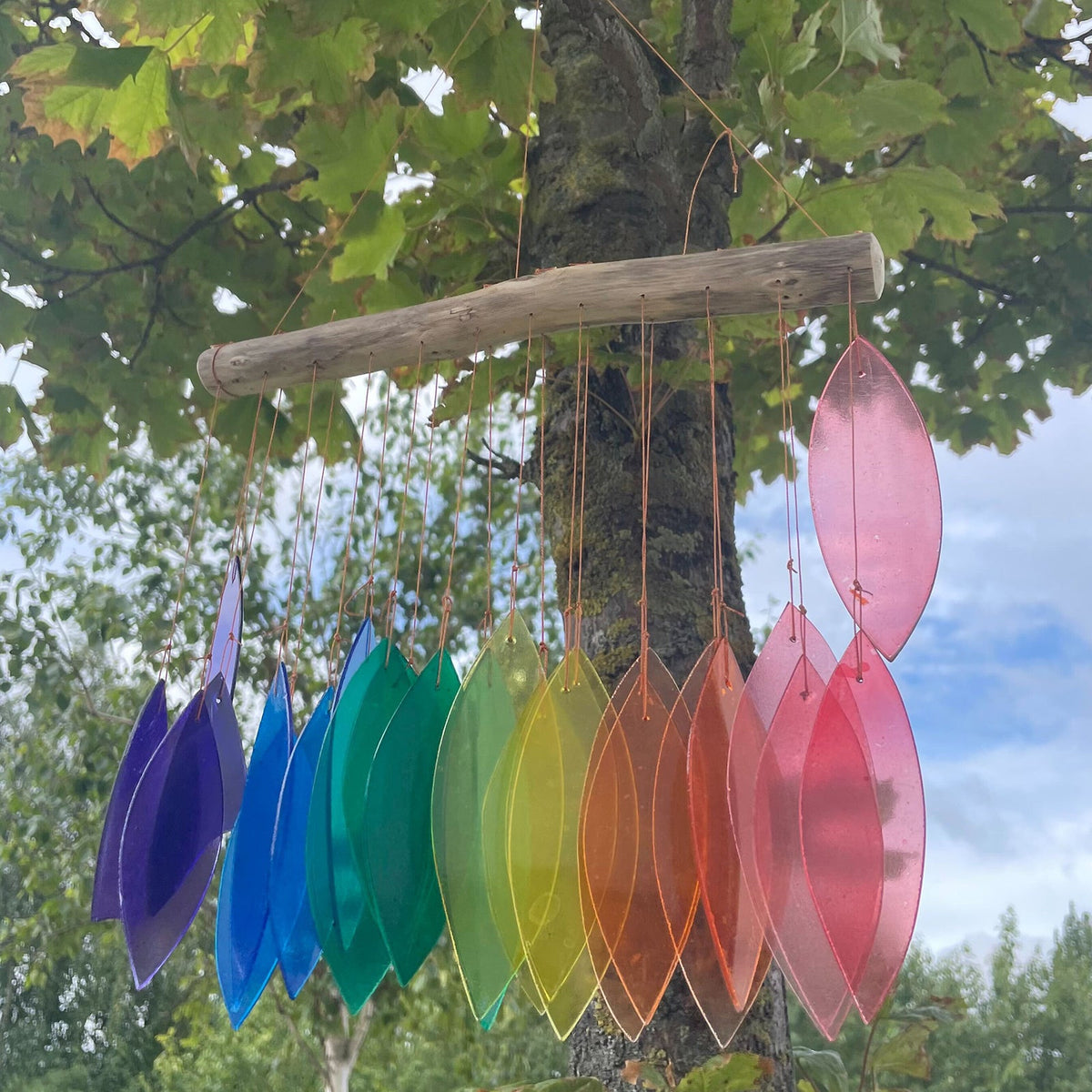 Driftwood and Recycled Glass Wind Chime - Rainbow - Multicoloured with clustered curved pieces suspended from driftwood under green leaves by Quintessential Holistic Health Ltd